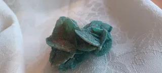 Rosa del deserto colorata