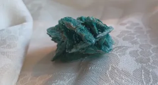 Rosa del deserto colorata