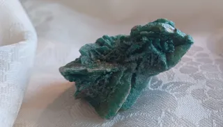 Rosa del deserto colorata