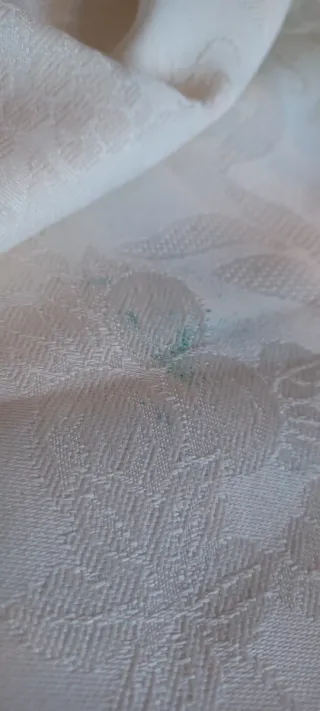 Rosa del deserto colorata