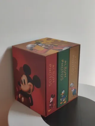 Album Foto Disneyland Paris