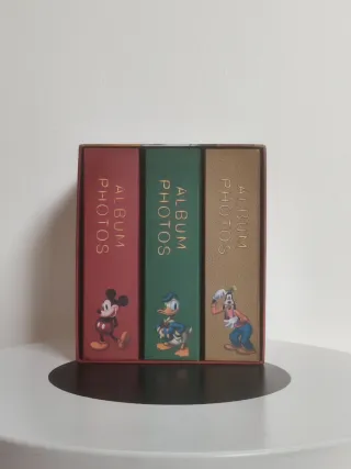 Album Foto Disneyland Paris