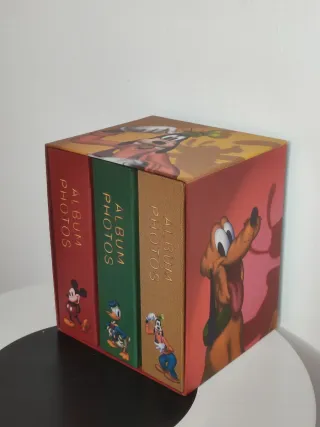 Album Foto Disneyland Paris