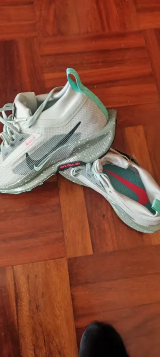 Nike Pegasus Trail 5 Gore-Tex