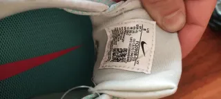 Nike Pegasus Trail 5 Gore-Tex