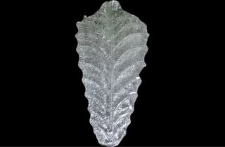 Foglia in vetro ricambio per lampadario