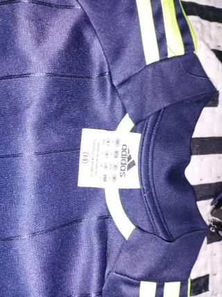 Conjunto Adidas Chandal Real Madrid Azul y Verde