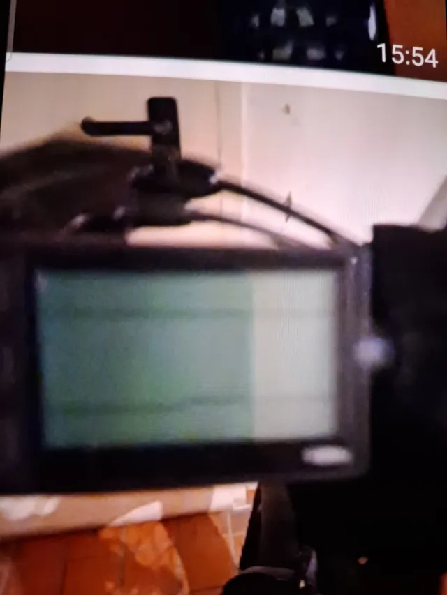 Bici elettrica Schiano pedalata assistita