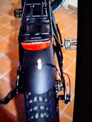 Bici elettrica Schiano pedalata assistita