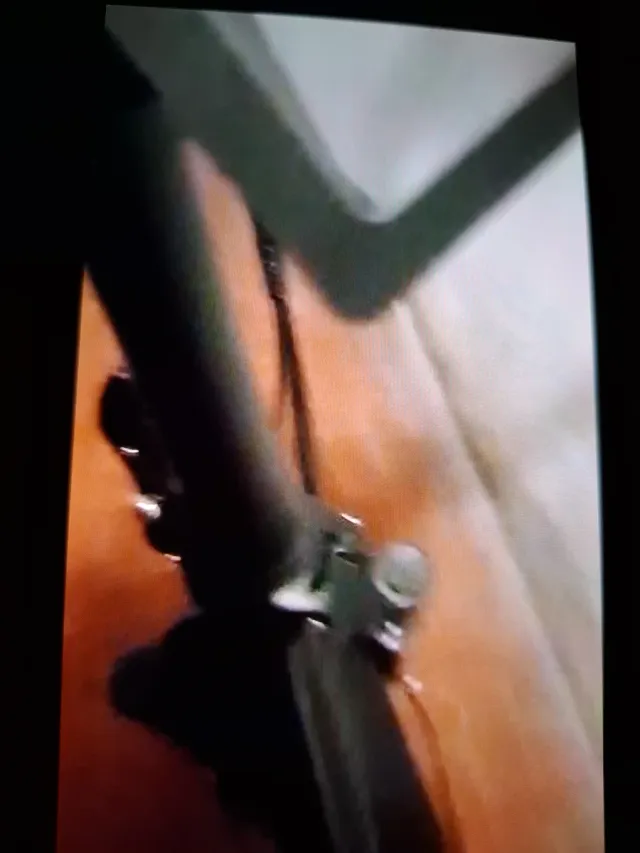 Bici elettrica Schiano pedalata assistita