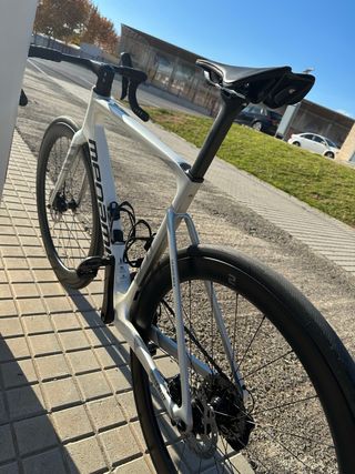 Megamo Pulse Élite 15 Carbono T-M 2024