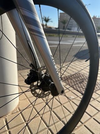 Megamo Pulse Élite 15 Carbono T-M 2024