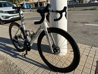 Megamo Pulse Élite 15 Carbono T-M 2024