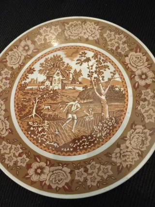 Coppia di Antichi Piatti Decorativi