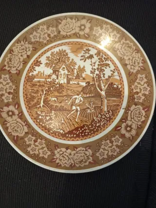 Coppia di Antichi Piatti Decorativi