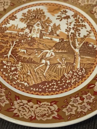 Coppia di Antichi Piatti Decorativi