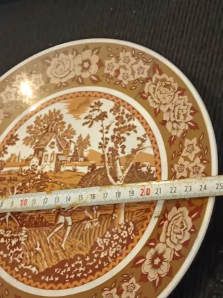 Coppia di Antichi Piatti Decorativi