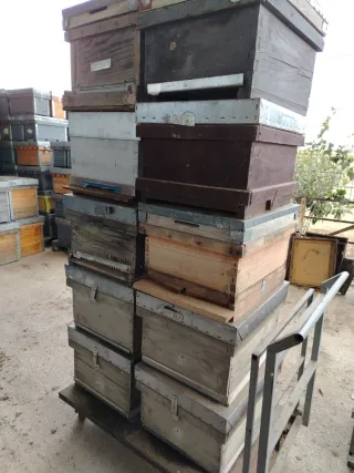 Colmenas de segunda mano con suelo sanitario