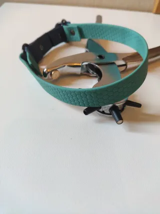 Collare per cani di taglia medio-piccola