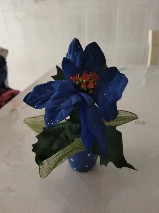 Stella di Natale blu piccola in vaso
