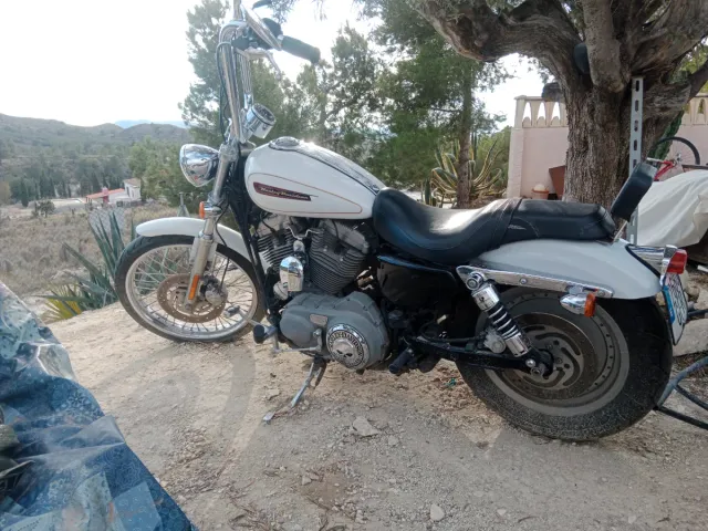 Harley Davidson Moto