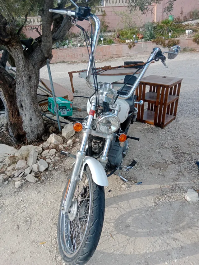 Harley Davidson Moto