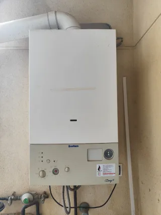 Caldera Gas Natural Ecoflam