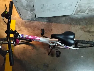 Bicicleta niña DENBIKE First 24