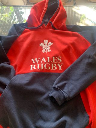 Sudadera Gales Rugby Roja y Azul