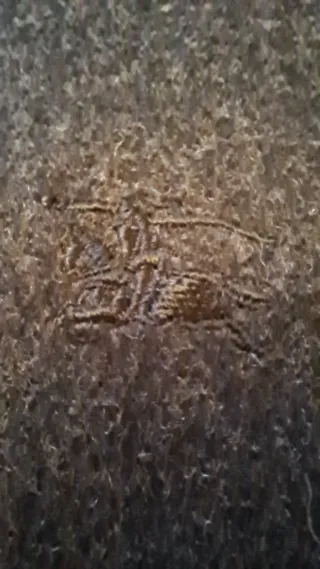 Bufanda Burberrys Gris Lana