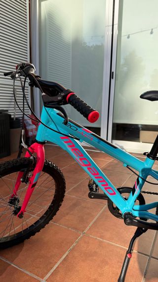 Bicicleta infantil 20 azul y rosa