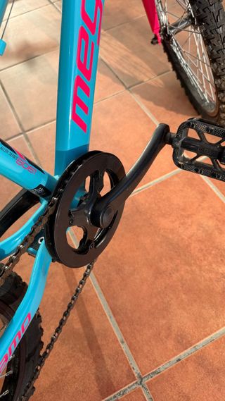 Bicicleta infantil 20 azul y rosa