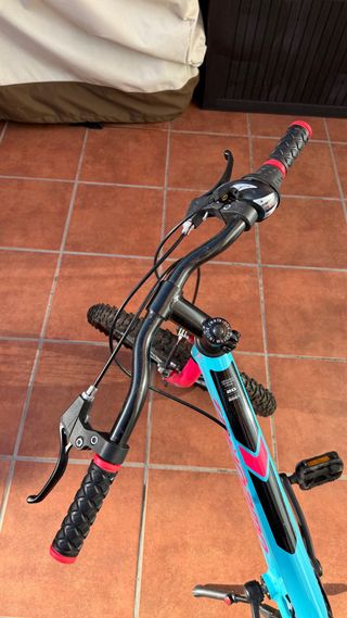 Bicicleta infantil 20 azul y rosa