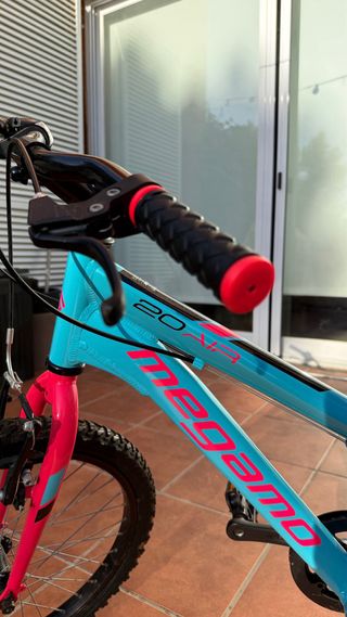 Bicicleta infantil 20 azul y rosa