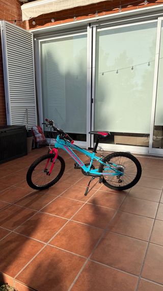 Bicicleta infantil 20 azul y rosa