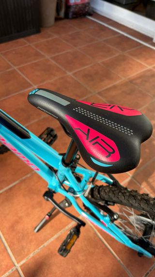 Bicicleta infantil 20 azul y rosa