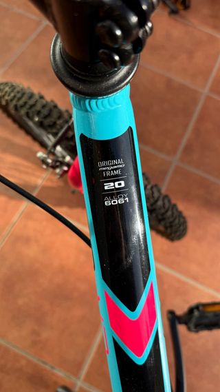 Bicicleta infantil 20 azul y rosa