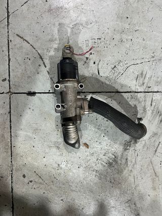 Válvula EGR Fiat
