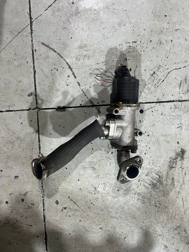 Válvula EGR Fiat