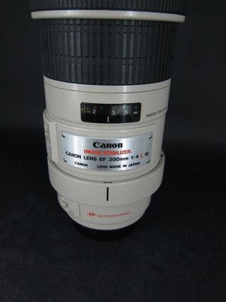 Canon EF 300mm f4 IS USM