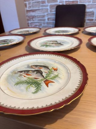 12 Piatti Antichi Limoges Pesci Porcellana