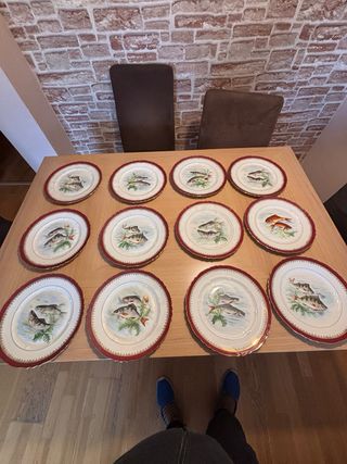 12 Piatti Antichi Limoges Pesci Porcellana