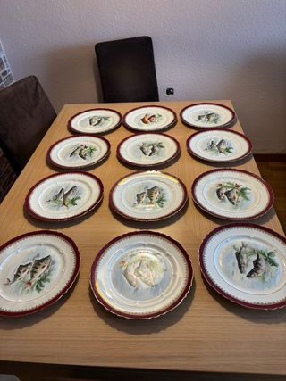 12 Piatti Antichi Limoges Pesci Porcellana
