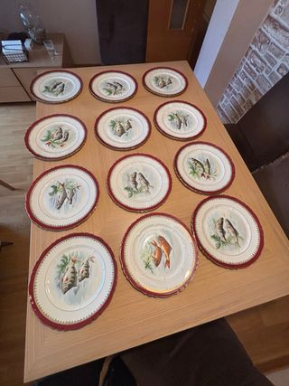 12 Piatti Antichi Limoges Pesci Porcellana