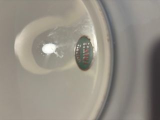 12 Piatti Antichi Limoges Pesci Porcellana