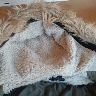 Chaqueta H&M Mujer Verde Talla M