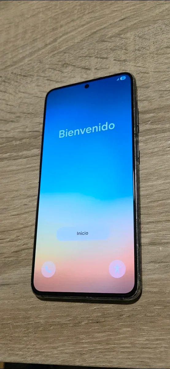 Samsung Galaxy S21 5G Gris