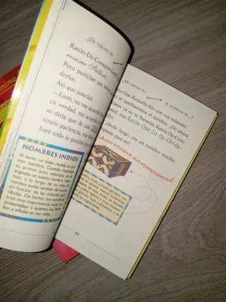 Dos libros Gerónimo Stilton