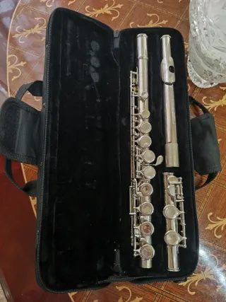 Flauta Travesera Plata con Estuche