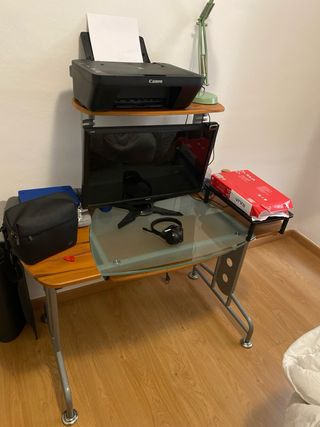 Impresora Canon PIXMA MG2550S